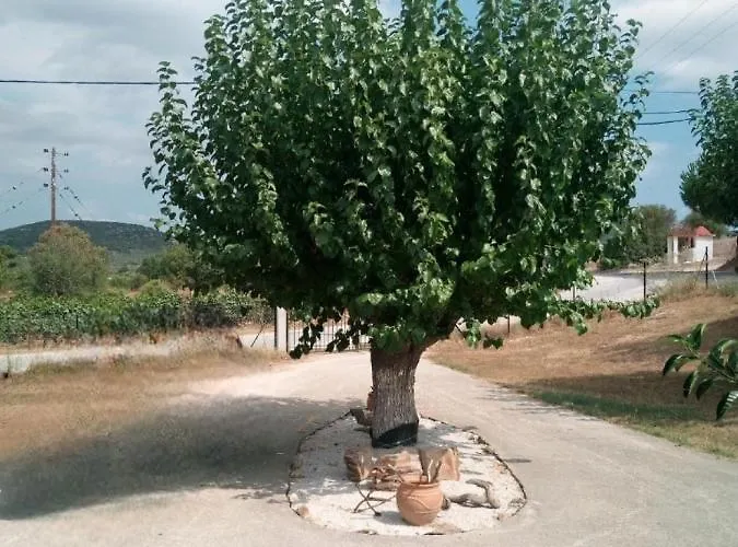 The House In The Mulberries Trees Metagkitsi