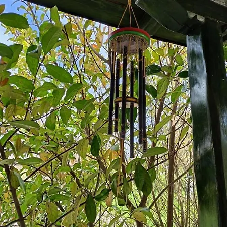 The House In The Mulberries Trees Σπίτι διακοπών