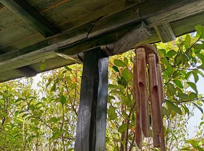 The House In The Mulberries Trees Metagkitsi