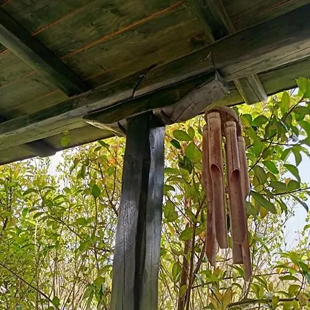 The House In The Mulberries Trees Metagkitsi